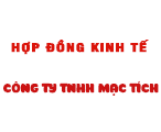 Hợp đồng kinh tế Công Ty Mạc Tích